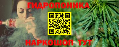 ПСИЛОЦИБИНОВЫЕ ГРИБЫ Лесосибирск
