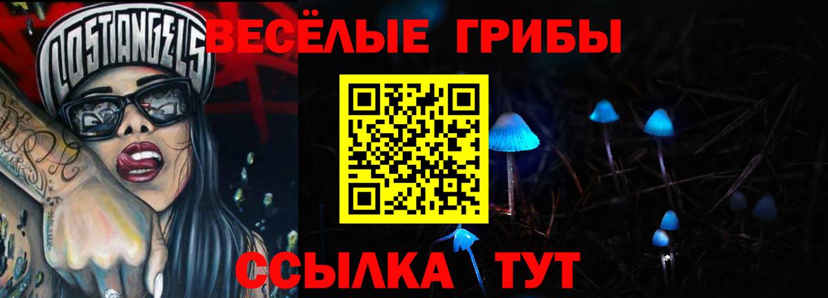Галлюциногенные грибы Magic Shrooms  Вход с VPN  Камышин 